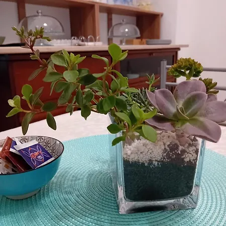 Corte Regina Esther Bed & Breakfast