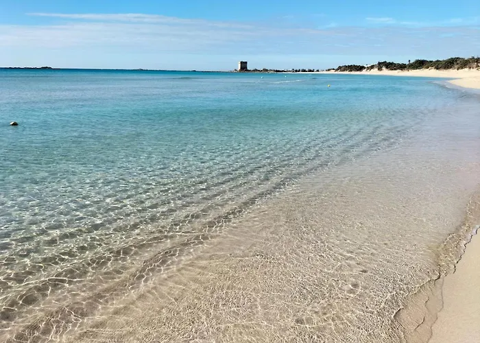 Corte Regina Esther Veglie